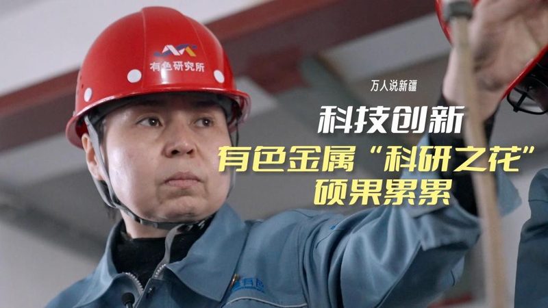 医疗数据服务实施流程：揭秘高效数据管理的秘密